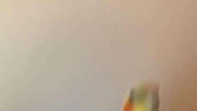 “ 外国答辩 9”