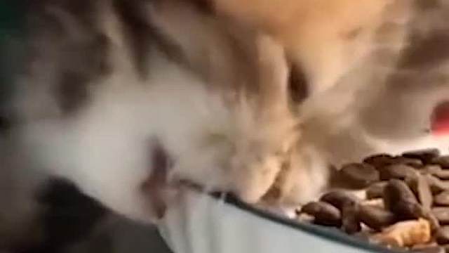 “我一辈子打工，就买了个公摊吗？”