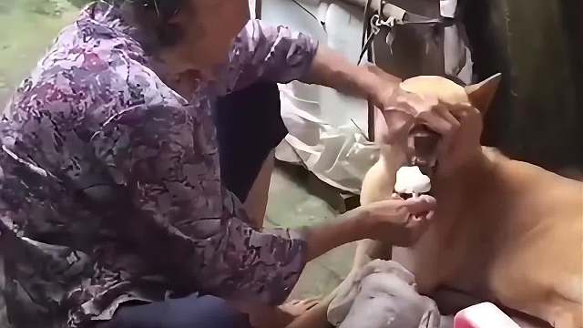 有一种饿叫爷爷奶奶觉得你饿#一定要看到最后