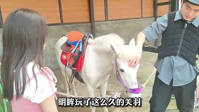 当国服关羽明眸骑上真马是什么场面，骑完后：今天晚上巅峰冲2400