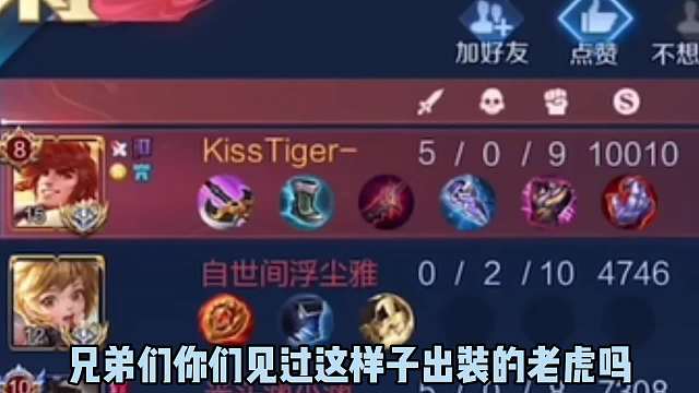 全新肉老虎顶尖出装，无念用这套出装带飞职业选手掉打微凉