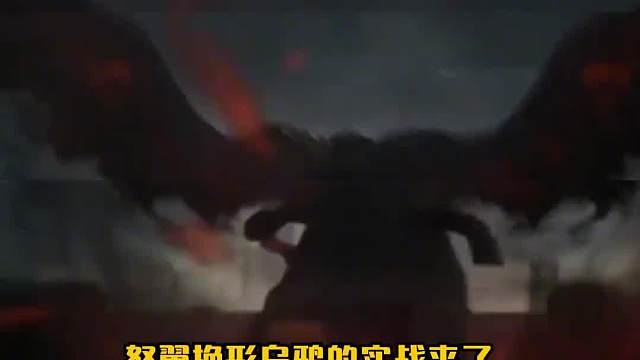 冷门上分阵容推荐怒翼换形乌鸦二