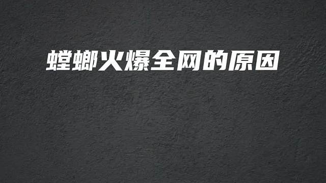 螳螂火爆全网的原因，你真的知道吗？