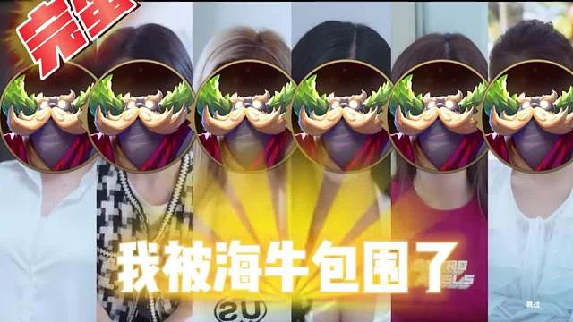 完蛋！我被海牛包围了