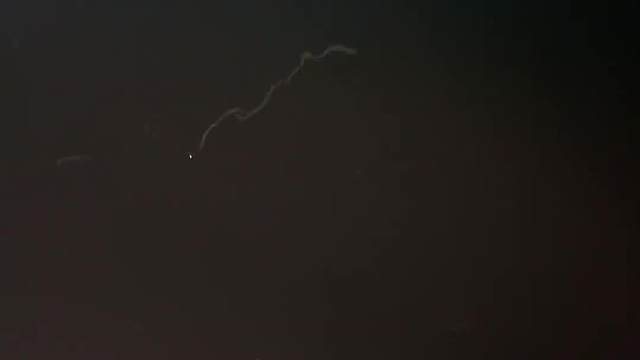 这到底是什么神奇生物