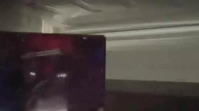 以后在长毛黄这长期拆