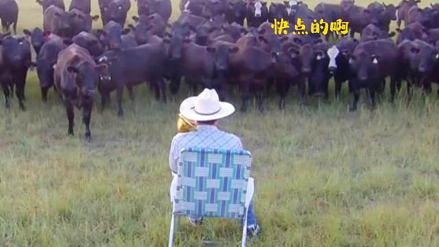 对牛吹号，真有一套#搞笑配音#万万没想到