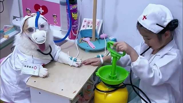 狗狗竟有如此神奇的本领