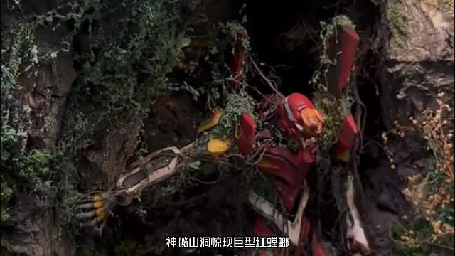 神秘山洞惊现红螳螂