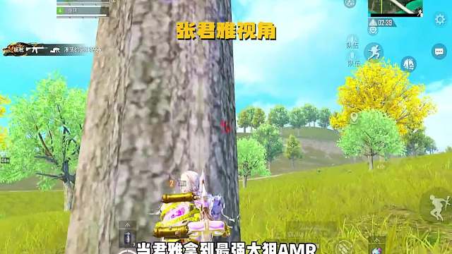 海岛悍妇张君雅 AMR压制力拉满横扫全场 战神局狂砍19杀