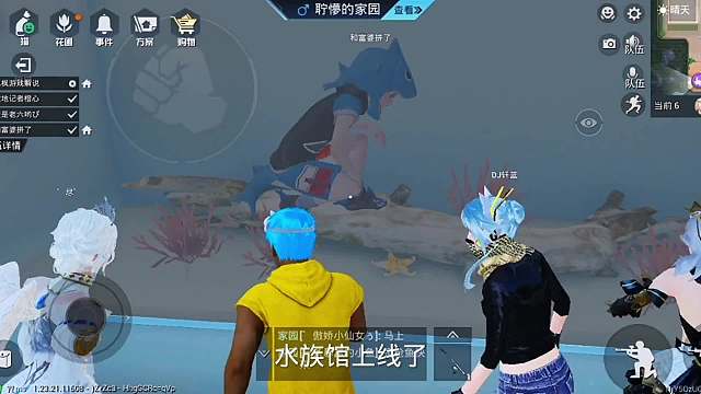 听说你们鱼缸养巨骨舌鱼？队友搭档