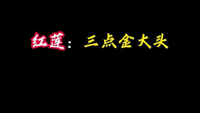 红莲三点金大头