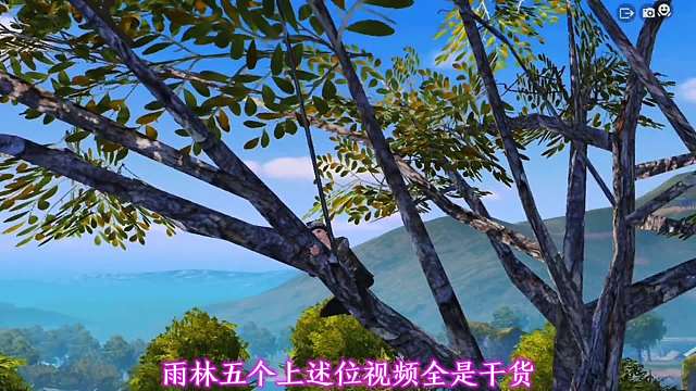 和平雨林五个上树老六位，学废了轻轻松松上分，