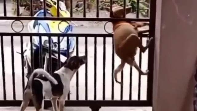 这是一个豪华品牌吗