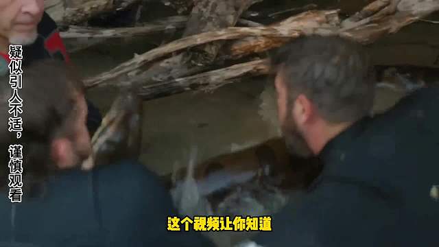 水中发现巨蟒，超精彩捕捉画面