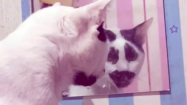 长的丑不要紧，习惯了就好了