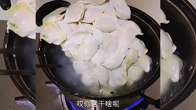 搞笑配音，这饺子是会进化吗