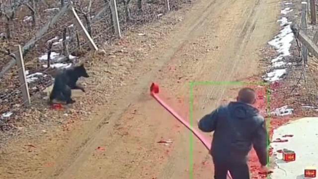 烟花烟花，先出点烟很正常吧