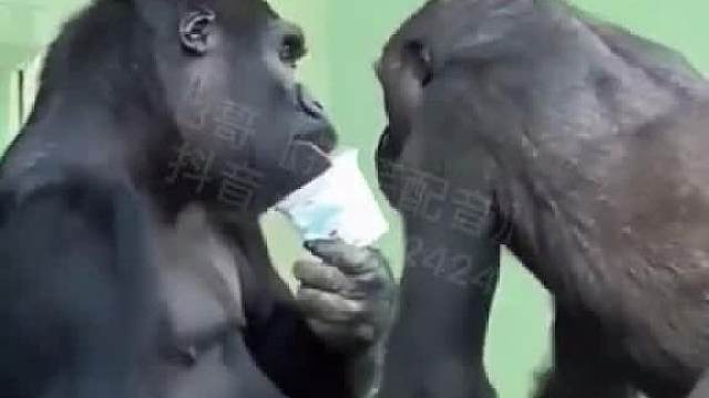 《伙食差》之亲嘴？？