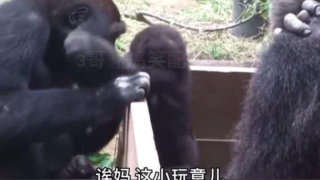 《伙食差》之童工事件？