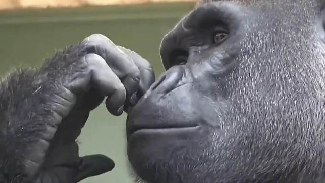 《伙食差》之缺钙