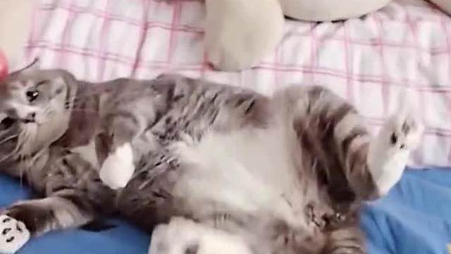 典型的口服心不服#搞笑配音#万万没想到