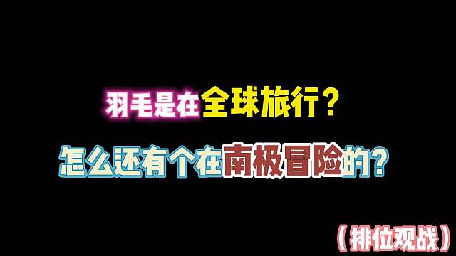第五人格：羽毛是在全球旅行？怎么还有个在南极冒险的？