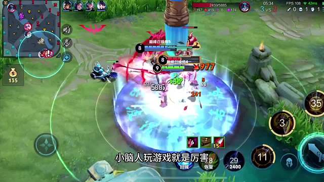 我的小脑决定我无敌来自峡谷一猴青帝自述