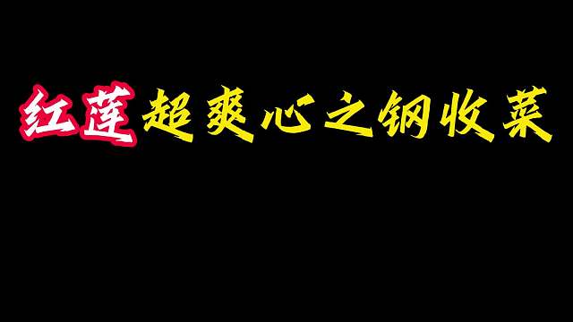全是三星 红莲心之钢收菜，法球里全是三星