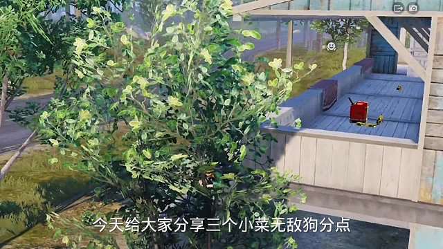 分享三个无敌房顶草丛苟分点！