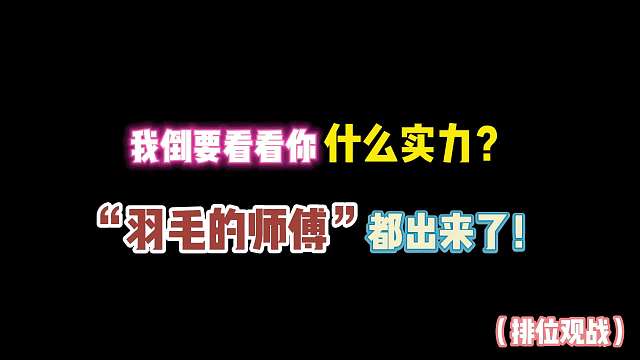 第五人格：我倒要看看你什么实力？“羽毛的师傅”都出来了!