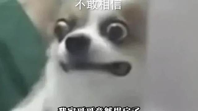 冷门强势阵容司令拉鸡一