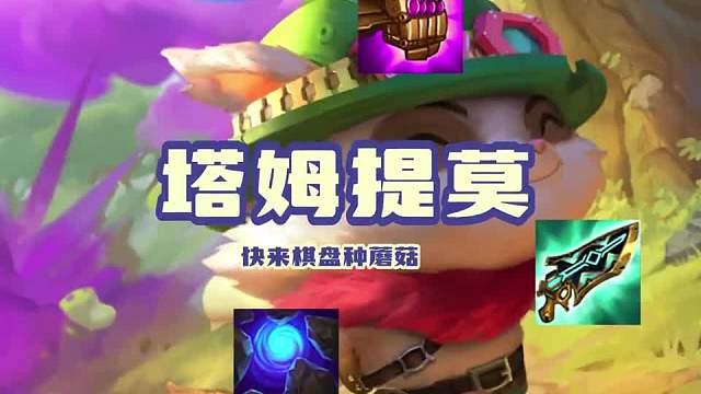 棋盘山开始长蘑菇啦