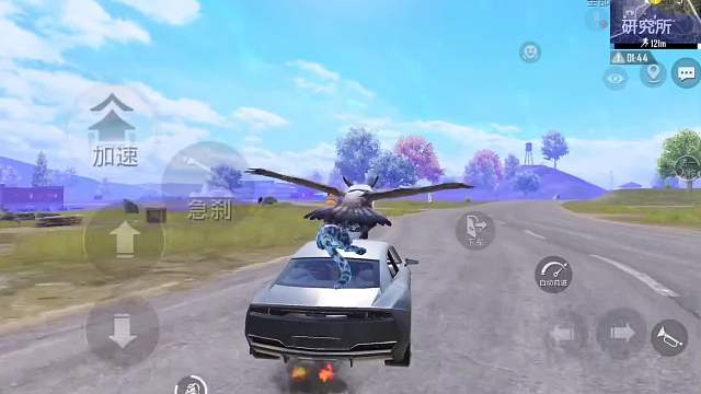 动物丛林六个小知识！