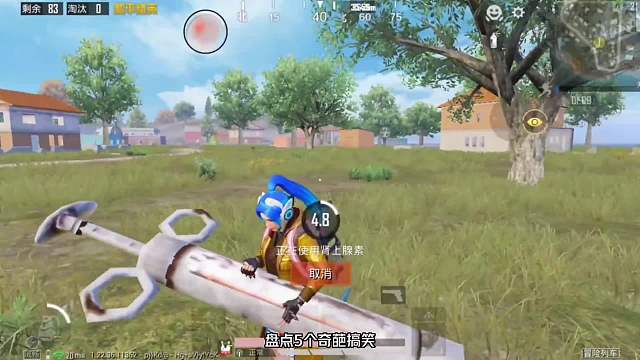 盘点奇葩搞笑视频，海岛惊现巨型肾上腺素