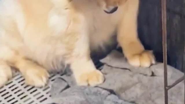 我出来混的时候你还没生呢