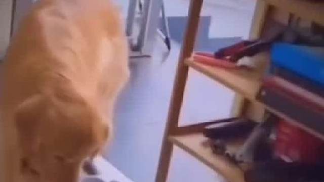 你所了解的不一定是现实