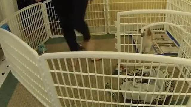 门口那个他在说谎，别信他，河南人不是这个口音