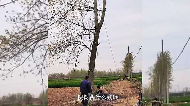 搞笑配音，技巧用的好，全都夸你巧，用不好那就是丢脸现场