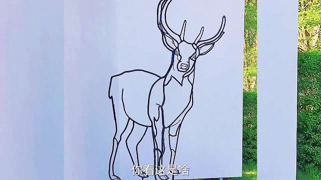 搞笑配音，换个角度看，会有不一样的风景