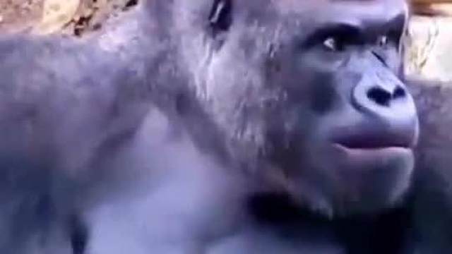 《伙食差》之短短的恋爱