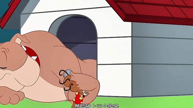 把狗的爪子装扮好