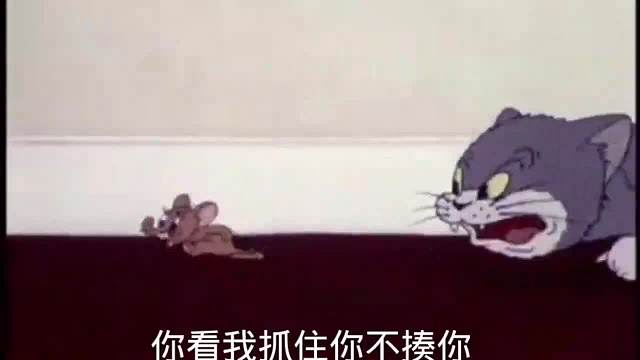 汤姆撞碎花瓶被主人骂却把杰瑞乐开了花