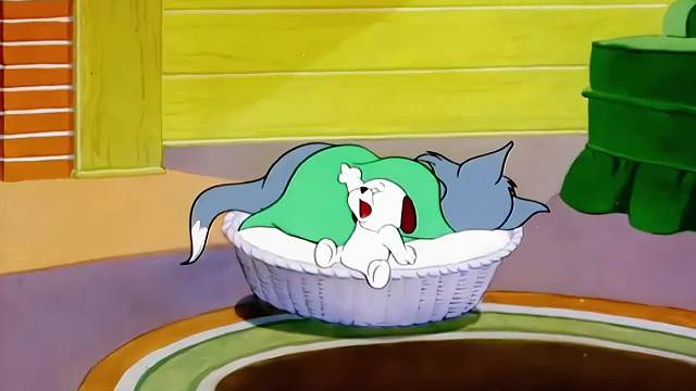 你不要到处乱跑，小心肥猫抓你