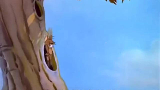 隔壁老王动漫配音被弄掉毛的汤姆没想到还被马蜂追赶