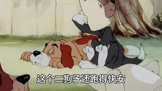 搞笑配音：《猫和老鼠》汤姆抢了狗哥的骨头，狗哥想一口咬掉汤姆