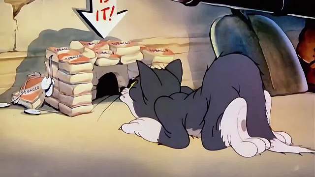 不能偷看，找打#搞笑配音#猫和老鼠