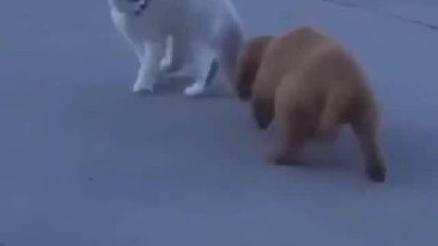 发现自己的女神看到自己在注意她，一般都会很尴尬吧