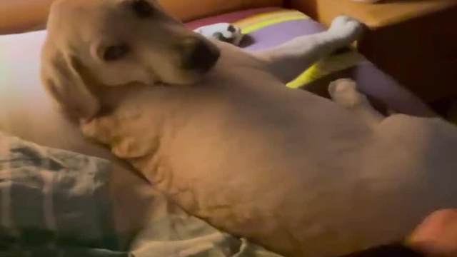 房子再大，睡觉也挨挤