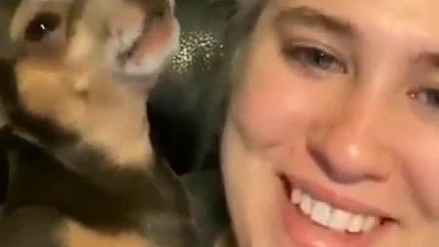 放开那只狗，有事朝我来